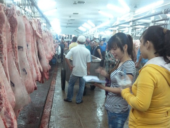 Cận cảnh ‘sàn’ giao dịch thịt heo lớn nhất Sài Gòn