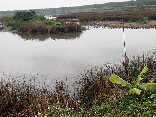 Tòa án hai cấp sai phạm nghiêm trọng
