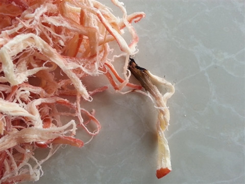 Cận cảnh gần một tấn 'mực khô' nghi làm bằng cao su