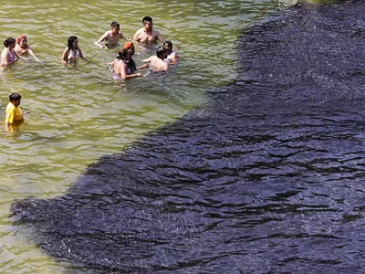 Choáng ngợp với biển cá dày đặc ngay dưới chân người