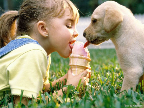 Nuôi thú cưng, chữa tự kỷ