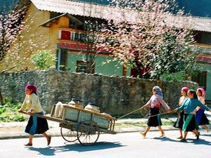 Miền Bắc ấm dần, nhiệt độ lên 27 độ C