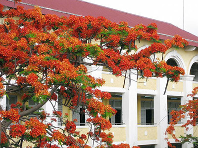 'Ai từng dạy tôi thì giơ tay!'