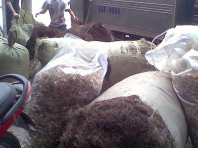 Tràn lan dược liệu Trung Quốc trộn thuốc sâu