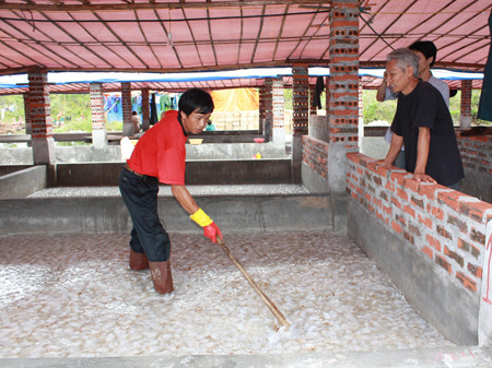 Thương lái Trung Quốc trong mùa sứa ở Quảng Ninh