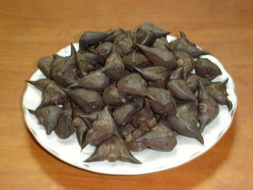 Củ ấu chữa trĩ, viêm loét dạ dày