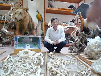 PGS Phạm Văn Lực trong căn phòng chật ních các hiện vật Ảnh: Mỹ Hằng