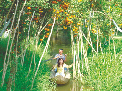 Đi tour trước Tết sắm đồ