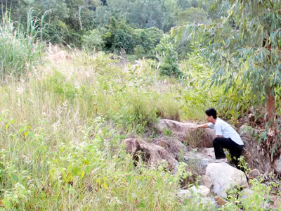 5 năm bít lối lên rẫy của dân