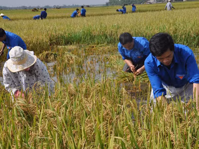 'Hướng về miền Tây' giúp dân nghèo