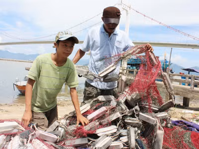 Khẩn trương chuẩn bị ra khơi