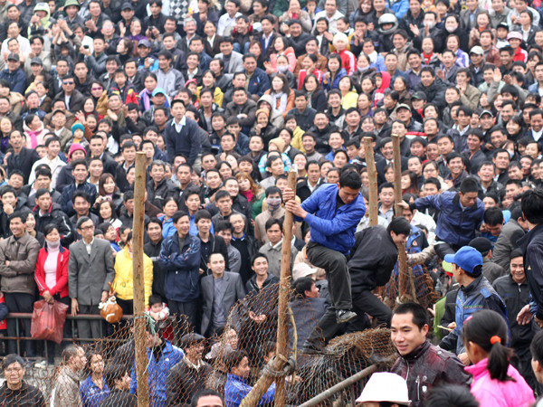 Bất cập bên hội chọi đất Bạch Ngưu