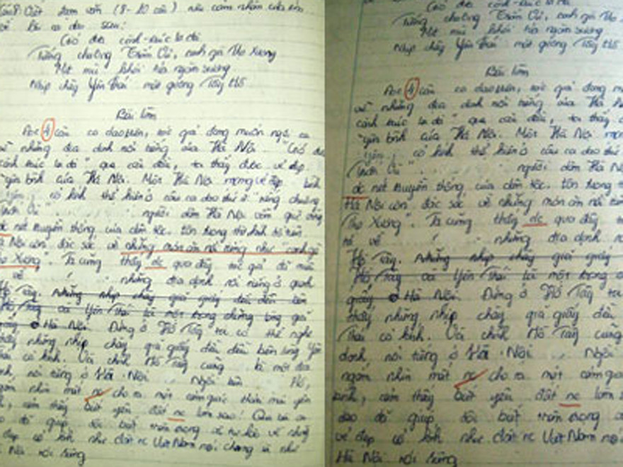 'Cô giáo đã sai sót' trong vụ canh gà Thọ Xương