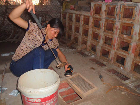 Đánh cược sinh mạng với nghề nuôi rắn độc ở Vĩnh Phúc