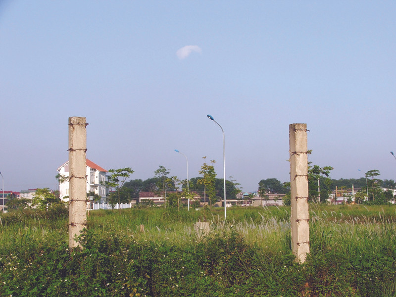 Rà soát, chấn chỉnh từng dự án