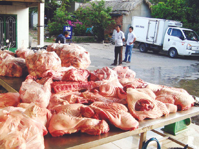 Thịt bẩn ào vào thành phố