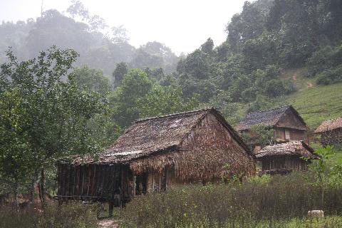 Xóm 'người rừng'