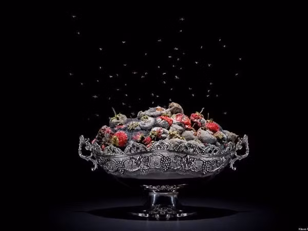 Những bức ảnh tuyệt đẹp từ... thức ăn bị hỏng