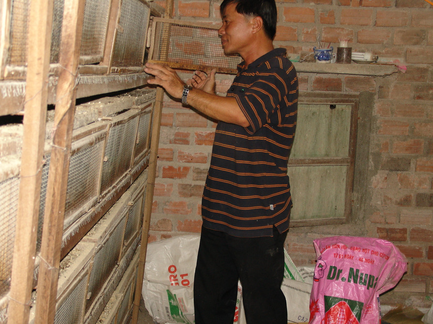 Đề xuất gói tín dụng 9.000 tỷ đồng cứu ngành chăn nuôi