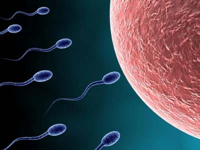 Vì sao bị thiểu năng tinh trùng?