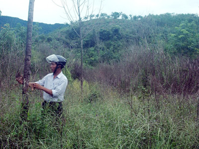 Nhiều đơn vị sai, dân dài cổ chờ đền bù