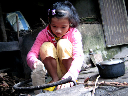 Ong non giữa đời