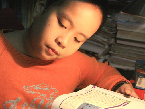 Dịch giả 11 tuổi