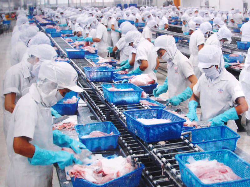 Các quy định bất hợp lý đang là cản ngại đối với mục tiêu xuất khẩu 6,5 tỷ USD Ảnh: Đ.D