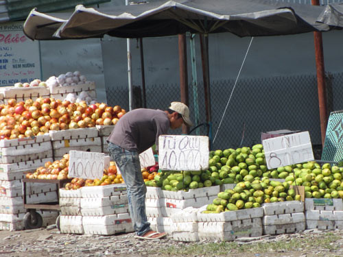 Bị thành phố tẩy chay, trái cây Trung Quốc 'tìm đường' về nông thôn
