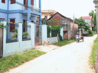 Thầy ơi, bằng tốt nghiệp bao nhiêu tiền?