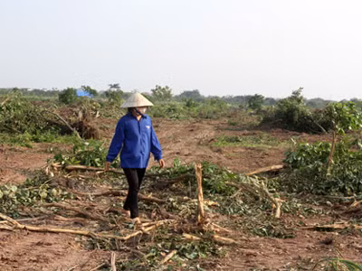 Cưỡng chế thu hồi đất, tạm giữ 20 người