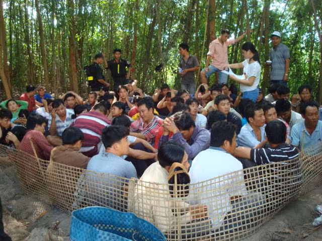 Phá ổ cá độ giữa rừng tràm, bắt 57 đối tượng