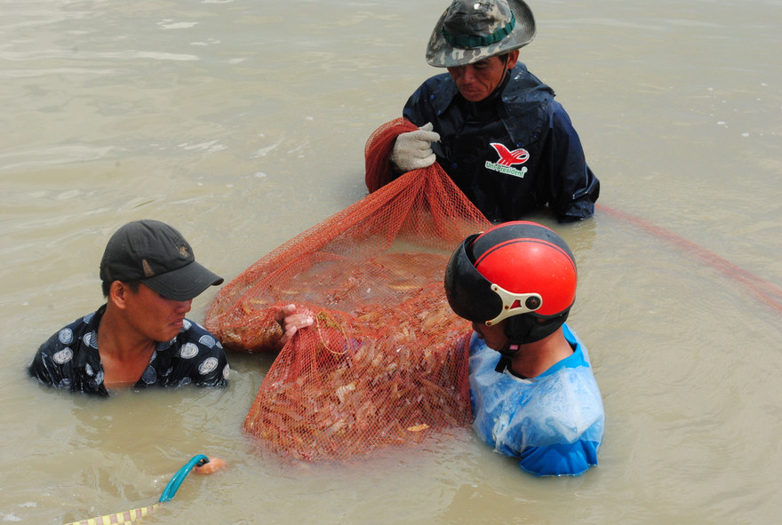 Công nhân lũ lượt rời nhà máy thuỷ sản