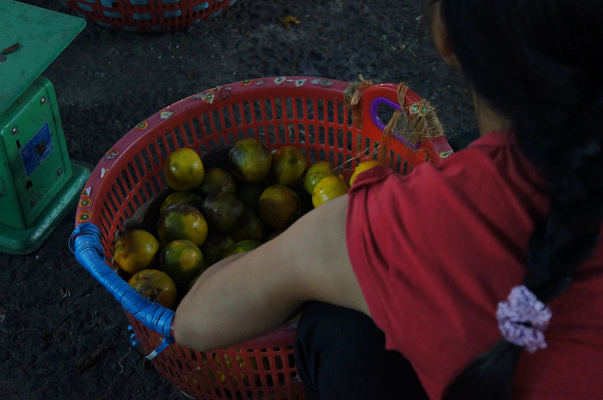 Hoa quả dập thối được lượm dưới lối đi