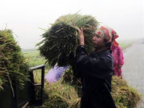 Miền Trung chạy bão