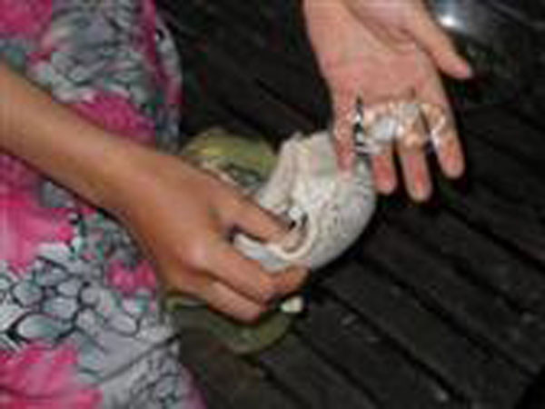 Tìm 'thuốc' nâng cao chất lượng thủy sản