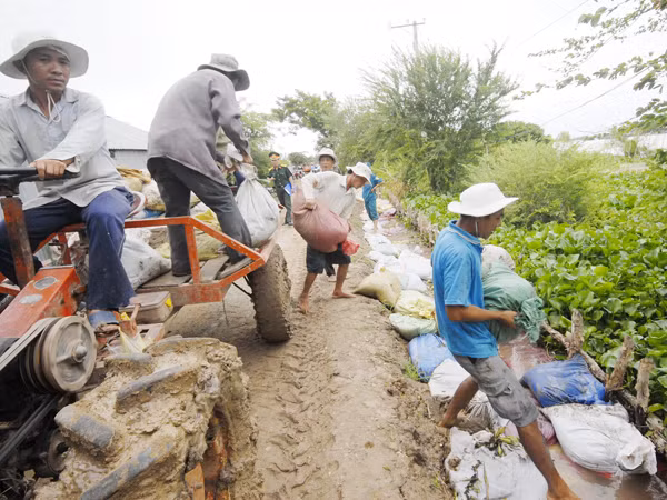 Dân và quân xã Thường Thới Tiền mang vác vật dụng đi bảo vệ đê bao cứu lúa