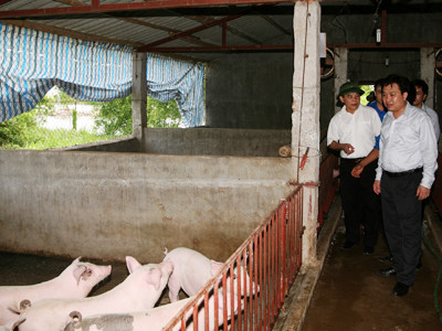 Không ai vừa sinh ra đã biết nói