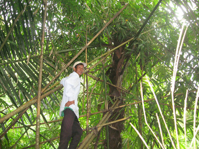 Ngẩn ngơ rượu Giàng