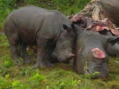 Tin vắn Quốc tế