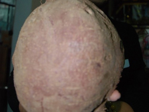 Củ khoai lang to như quả dừa xiêm