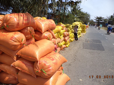 Lúa chất đống, giá bán thấp