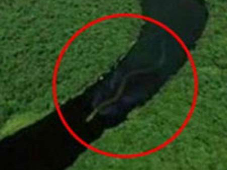 Xuất hiện rắn khổng lồ có bảy lỗ mũi