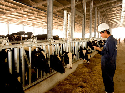 Ra mắt sản phẩm đầu tiên TH true MILK