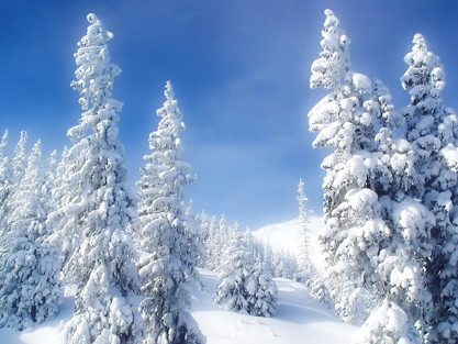 'Bà chúa tuyết' khoe nhan sắc yêu kiều