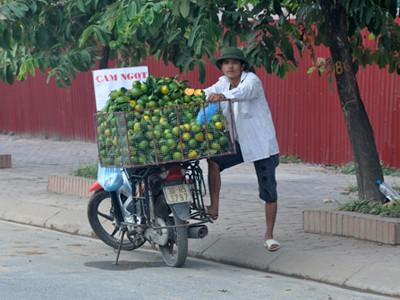 Phố phường Hà Nội tràn lan cam siêu rẻ