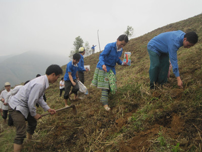 Nương ngô xóa đói, con đường thanh niên