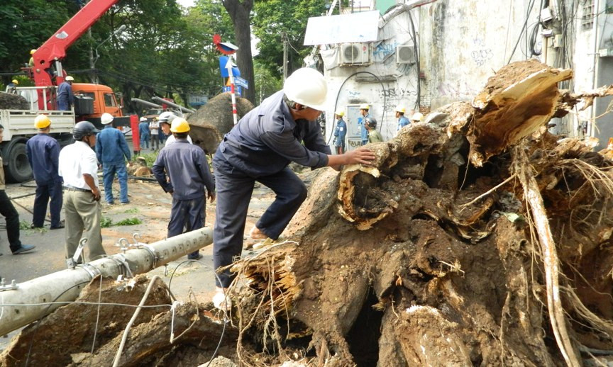 Đình chỉ công tác lãnh đạo bốn công ty công ích lĩnh 'lương khủng'