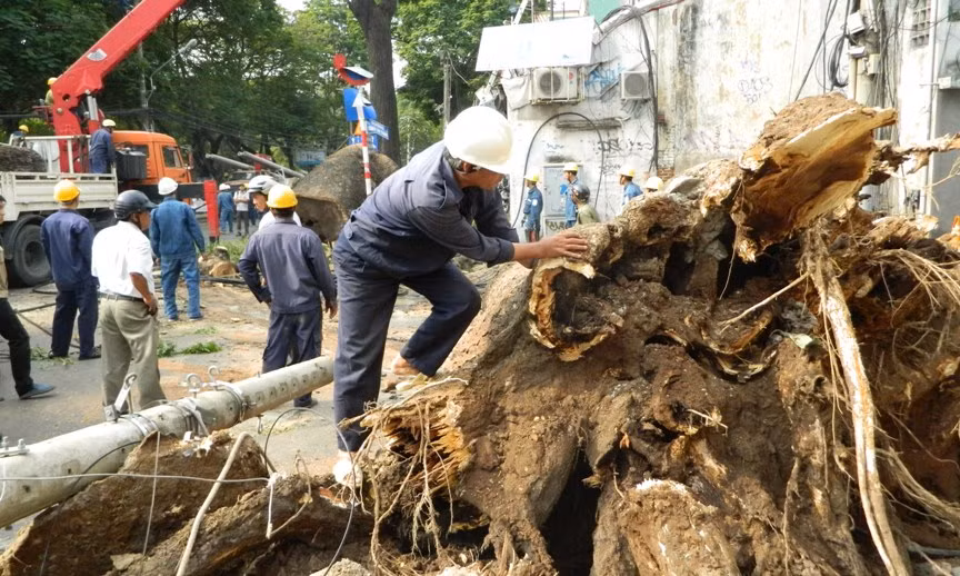 Đình chỉ công tác lãnh đạo bốn công ty công ích lĩnh 'lương khủng'