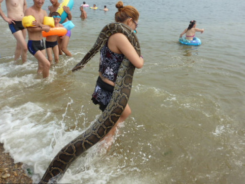 Phụ nữ đưa trăn dài bốn mét đi tắm biển